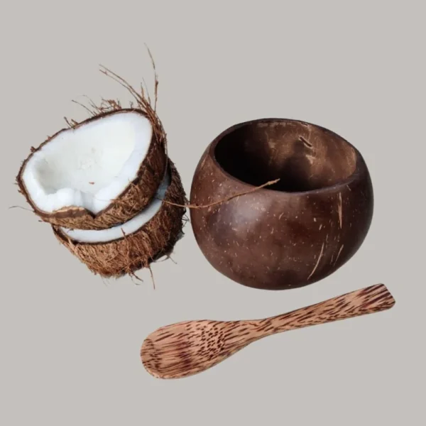 Coconut Shell Bowls